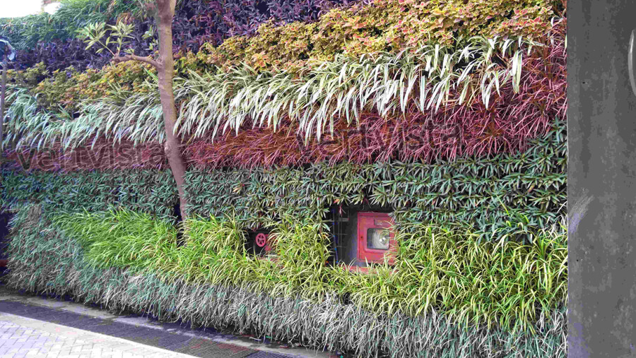 outdoor green wall